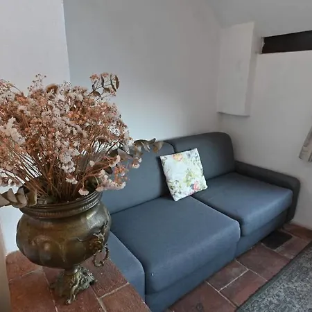 Apartament U Moruse Dolni Vestonice